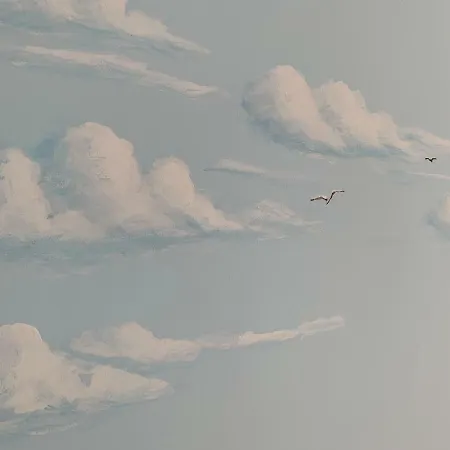 Seagull Dreams דירה *